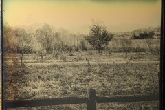 field in town